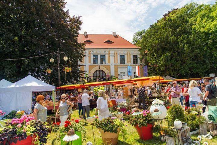 Der Kleine Bauernhof Daire Lubiatow  Dış mekan fotoğraf